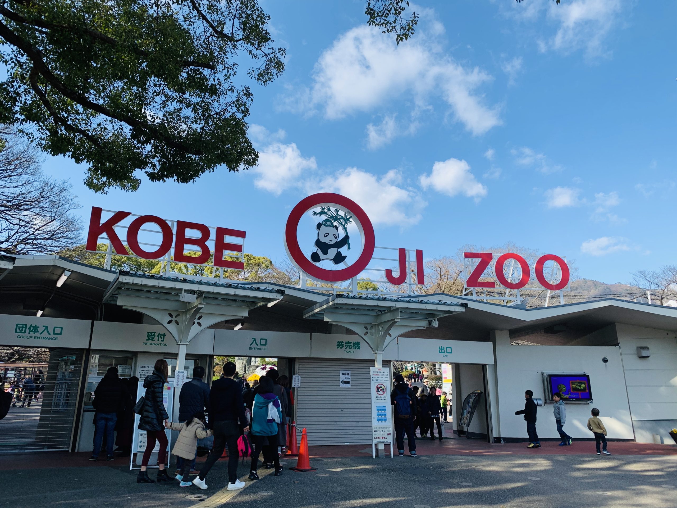 神戸市立王子動物園 パンダとコアラが同時に見れる日本で唯一の動物園 とーるブログ